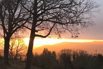 Image de Best View Studio