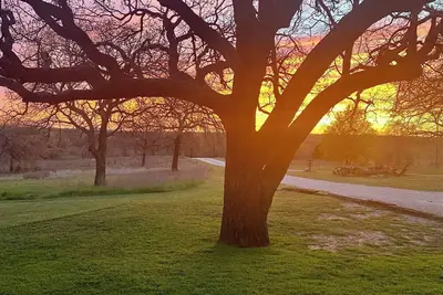 Image de Sunset Oaks Retreat | Events, Farm Animals & Views