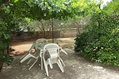 Image de Appartement d'une chambre avec la terrasse Biograd na Moru, Biograd (A-24778-a)