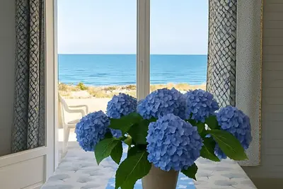 Image de Sur la plage, face à la mer, vue exceptionnelle sur mer et foret pour 8 personnes