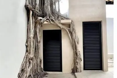 Image de Casa Álamo in Downtown Merida, pool, 2 br