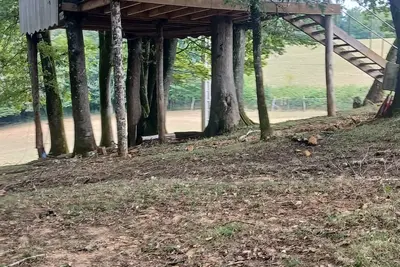 Image de Cabanes perchées dans les arbres en Périgord Noir