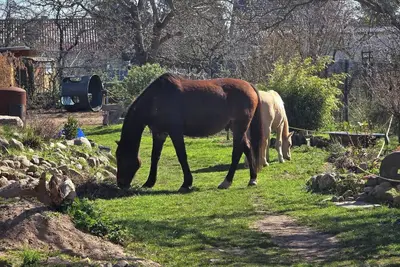 Image de Studio 'Monteure, Remote Wohn' avec jardin privé et Wi-Fi