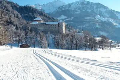 Image de Bel appartement pour 3 personnes avec Wifi, Tv, balcon, animaux admis et parking