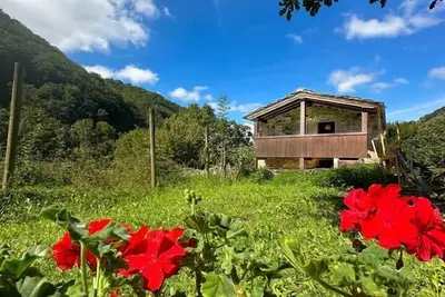 Image de Spectacular cabin between two incredible rivers
