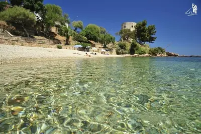 Image de Blue Navarrese 2