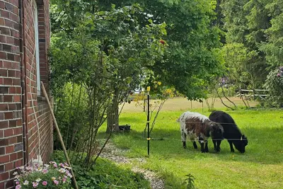 Image de Appartement 'Wiesmoor - Ranch' avec terrasse privée, jardin commun et Wi-Fi