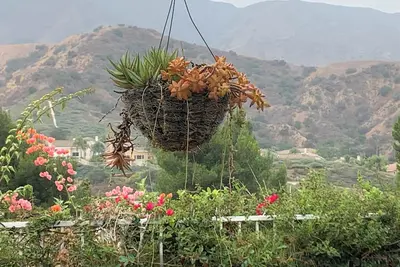 Image de Stunning Mountain Views\n4 Bedroom Mediterranean upscale home