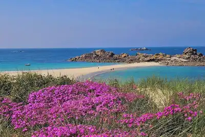 Image de Votre maison, un paradis Ă 200m de la baie de Roscoff et de ses superbes plages