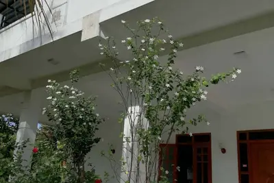Image de 3-bedroom villa within 12-minute drive to Bandaranike Airport.