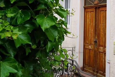Image de Eifel Fewo - 4-bed vacation apartment shower/Wc, 2 bedrooms