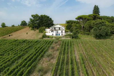 Image de Grande villa design avec piscine et espaces extérieurs vignoble – Bordeaux Sud