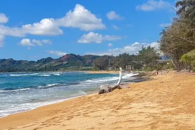 Image de Ocean Views Top floor King Bed Beach Access Pools Bbq Renovated Unit with Ac