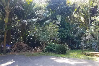 Image de Great Barrier Island Escape-Book a Room  or whole House