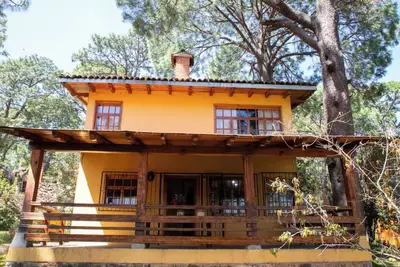 Image de Forest house