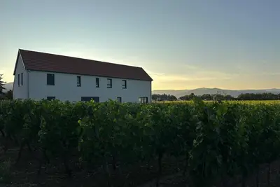 Image de Colmar and co au cœur des vignes