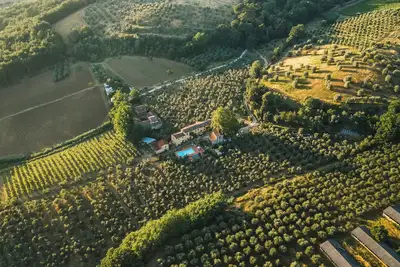 Image de Chianti, relaxation, wine and organic oil