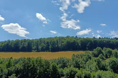 Image de \"L'Emeraude\", 4 chambres, dans le cadre verdoyant du massif Vosgien