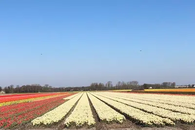 Image de House near Keukenhof and beach with outside private parking and 3 bedrooms