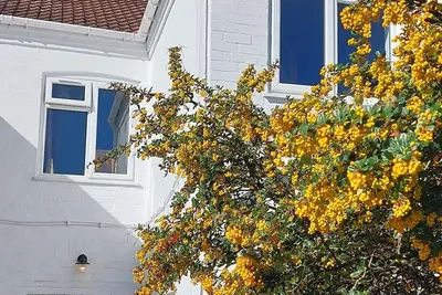 Image de Relax in Style – Beautiful Family Home Near Clowne Greenway