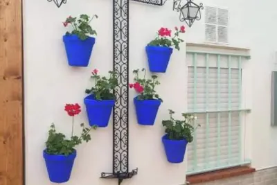 Image de Geranium Chipionahome