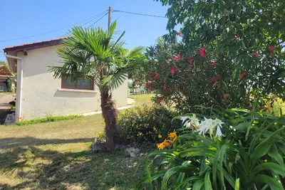 Image de Le Gîte De Gayssanes : charme et tranquillité au cœur de la nature