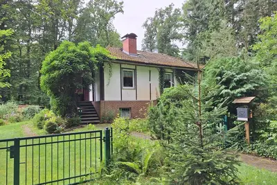 Image de House in the forest