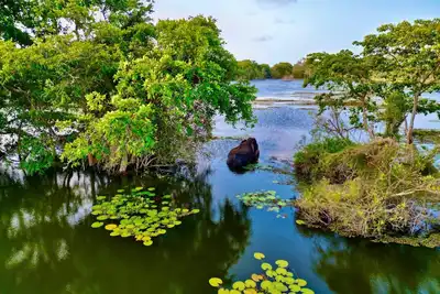 Image de Tranquil 3-bedroom villa in elewankuluma Puttalam, near wilpattu safari park