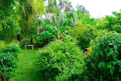 Image de Tranquil 2 Br - Steps from Pompano Beach & Pier