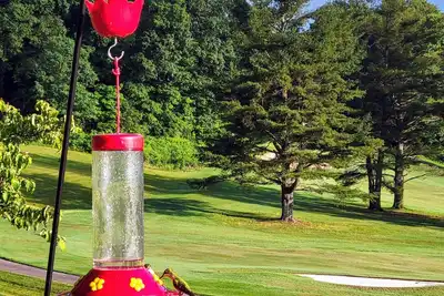 Image de Mountain View Townhouse Burnsville - Mount Mitchell, Hiking, Waterfalls