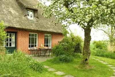 Image de Idyllic half of the thatched house with wood-burning stove (dogs welcome)