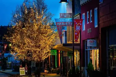 Image de Historic Downtown Oak Harbor Beach getaway#1