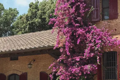 Image de Comet House Farmhouse