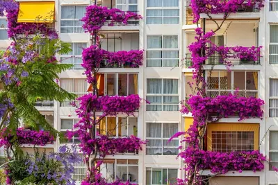 Image de Appartement avec terrasse près de la mer