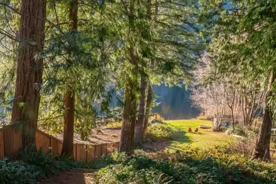 Image de Paddle, Sauna, Relax—Lakefront!