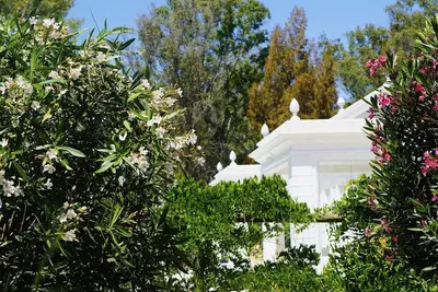 Image de Iconic Luxury Villa, an Architectural gem and haven of Tranquility