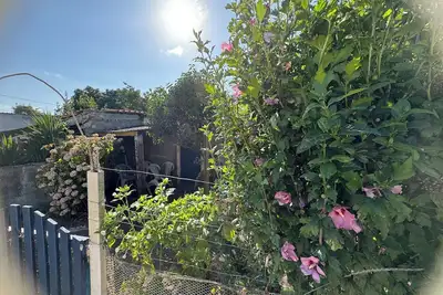 Image de Maison 3 chambres 1 km de la mer zone naturelle Moeze Oleron