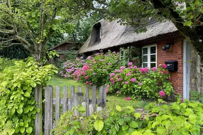 Image de Dream vacation in a stylish thatched-roof house in a rural setting