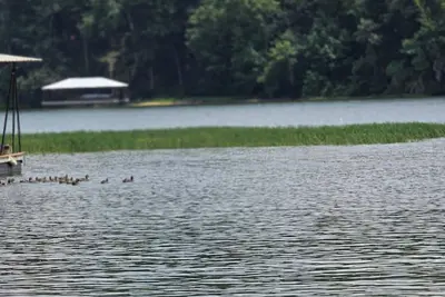 Image de Relax, Fish, Repeat- Your Lakefront Vacation Starts Here