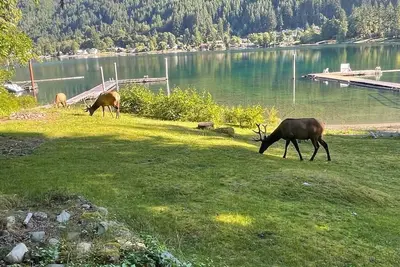 Image de Private Waterfront Cabin on Lake Cowichan