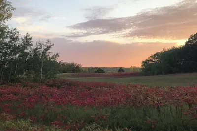 Image de Serenity on Turtle Lake