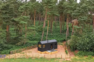 Image de Luxury Eco-Friendly Off-Grid Forest Cabin With Outdoor Bath