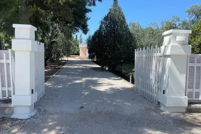 Image de Guest house located on private olive orchard estate surounded by olive trees.