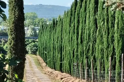 Image de Stay in the countryside a stone's throw from the spa