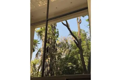 Image de Bamboo-view Breeze Nest