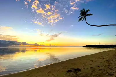 Image de Moorea - Tropical Nest