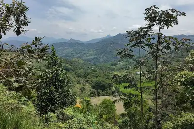 Image de Welcoming 1-bedroom bungalow in Cundinamarca