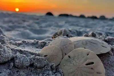 Image de Sunsets and Sand Dollars at Bonita Beach Club 2 Bed/2 Bath Monthly Rental Only