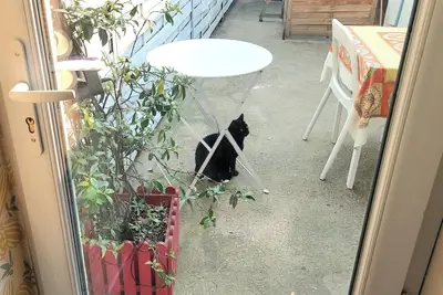 Image de Maison de ville veranda et cour, prés du centre ville Idéal famille ou couple!