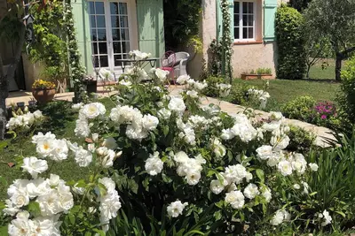 Image de Beautiful House with excellent garden and pool. Three bedrooms,